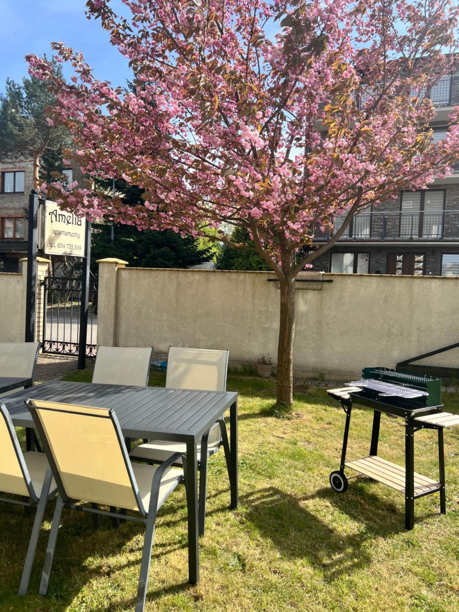 Amelia Apartamenty - Sala Zabaw, 2 Sypialnie, Garaz Podziemny Władysławowo Exteriör bild