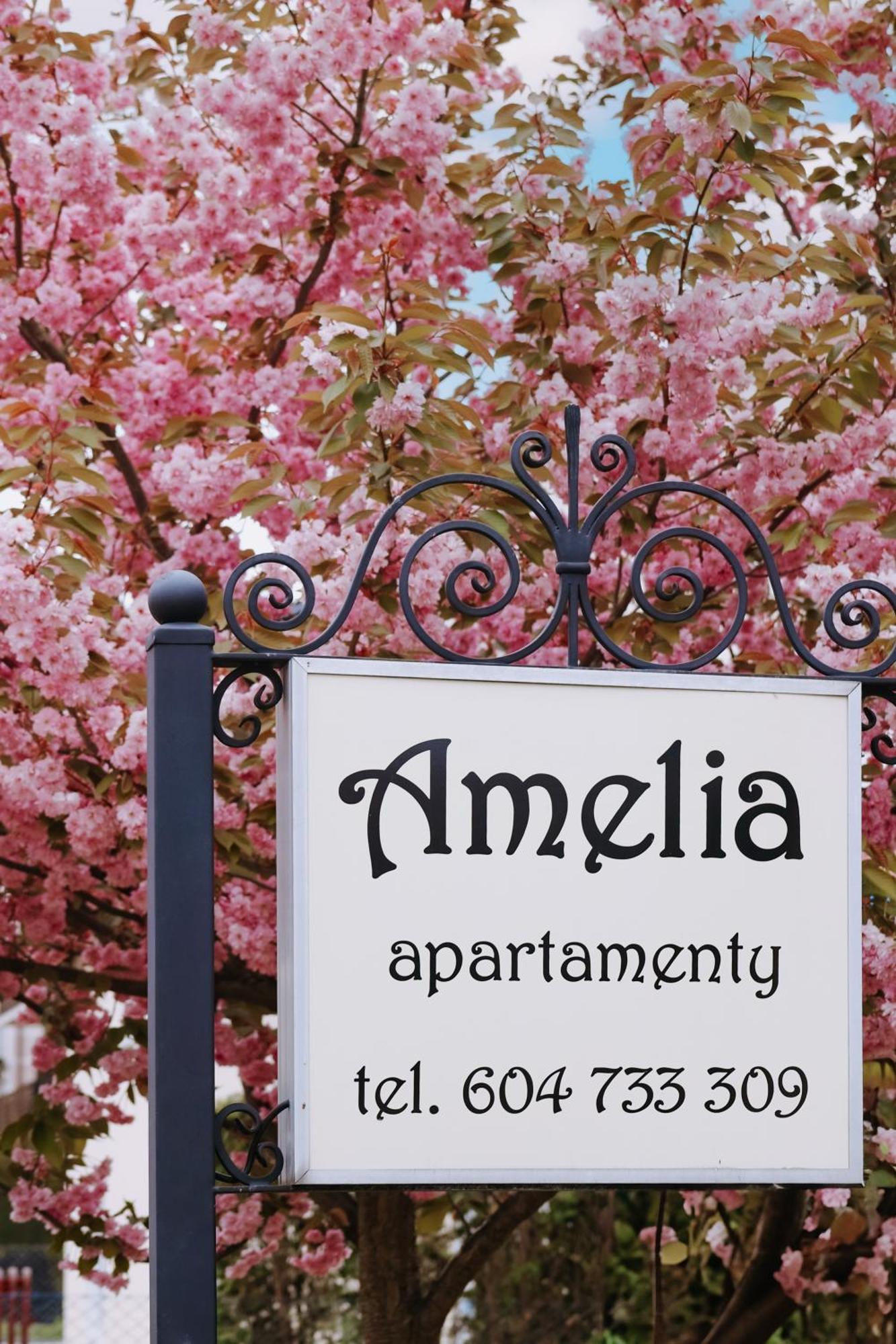 Amelia Apartamenty - Sala Zabaw, 2 Sypialnie, Garaz Podziemny Władysławowo Exteriör bild